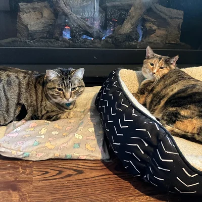 Xena & Sophie